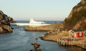 Icebergs in Quidi Vidi, St. John's, NL